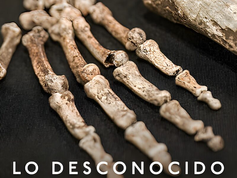 Lo desconocido: La cueva de los huesos (2023) Documental en Netflix sobre el Homo naledi