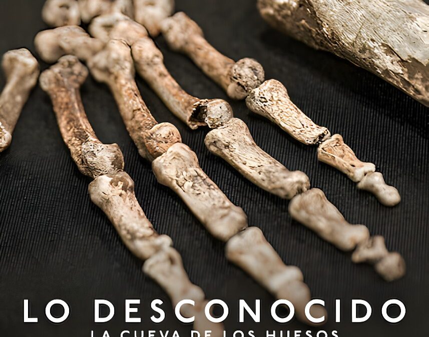 Lo desconocido: La cueva de los huesos (2023) Documental en Netflix sobre el Homo naledi
