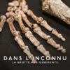 Dans l'inconnu : La grotte aux ossements