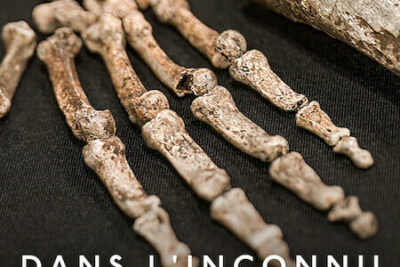 Dans l&rsquo;inconnu : La grotte aux ossements (2023) Documentaire sur Netflix sur l&rsquo;Homo naledi
