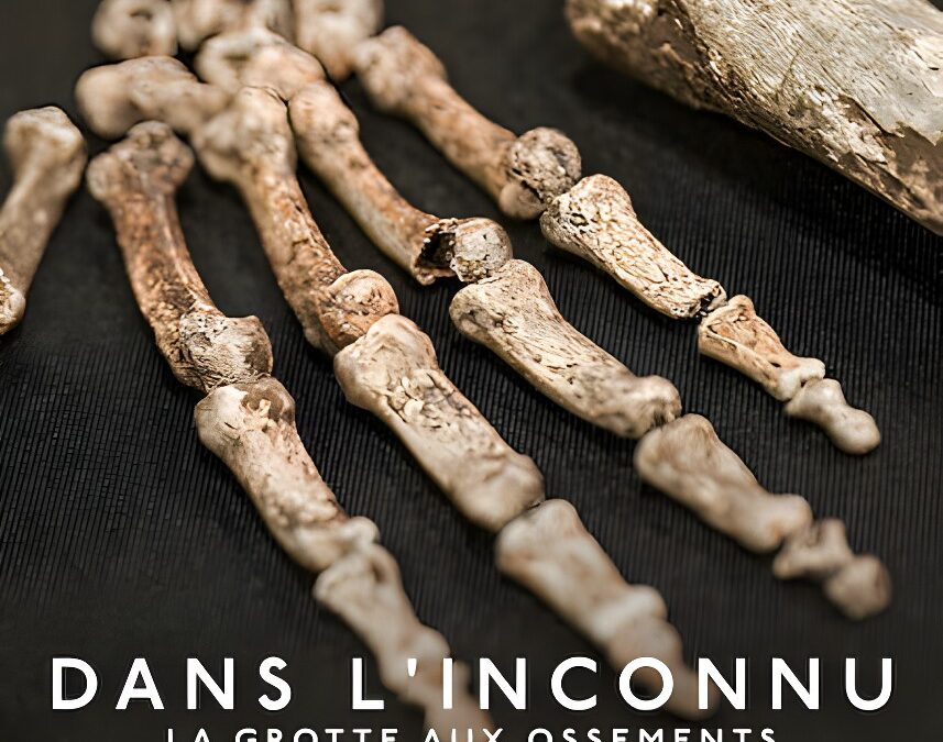 Dans l&rsquo;inconnu : La grotte aux ossements (2023) Documentaire sur Netflix sur l&rsquo;Homo naledi