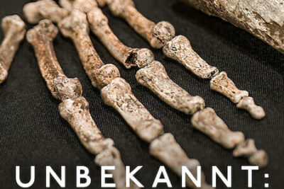 Unbekannt: Die Knochenhöhle (2023) Dokumentarfilm auf Netflix über Homo naledi