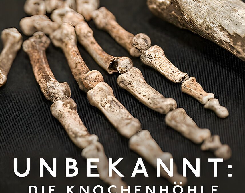 Unbekannt: Die Knochenhöhle (2023) Dokumentarfilm auf Netflix über Homo naledi