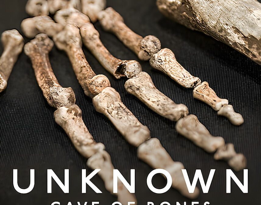 Unknown: Cave of Bones (2023) on Netflix – Review: A Thought-Provoking and Entertaining Documentary