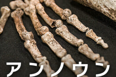 『アンノウン: 洞窟に眠る新たな人類』 （2023年）Netflixのドキュメンタリー