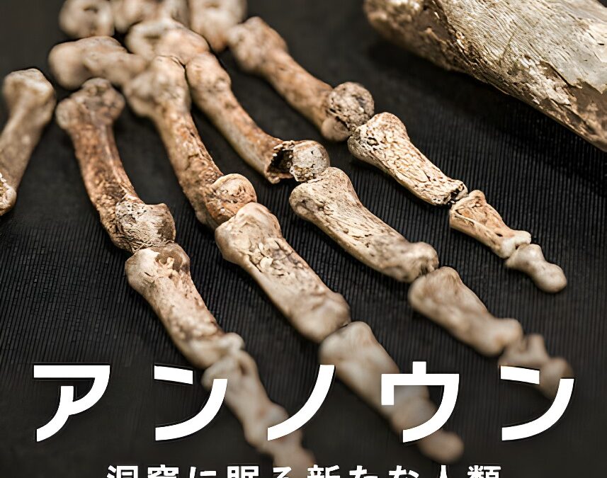 『アンノウン: 洞窟に眠る新たな人類』 （2023年）Netflixのドキュメンタリー