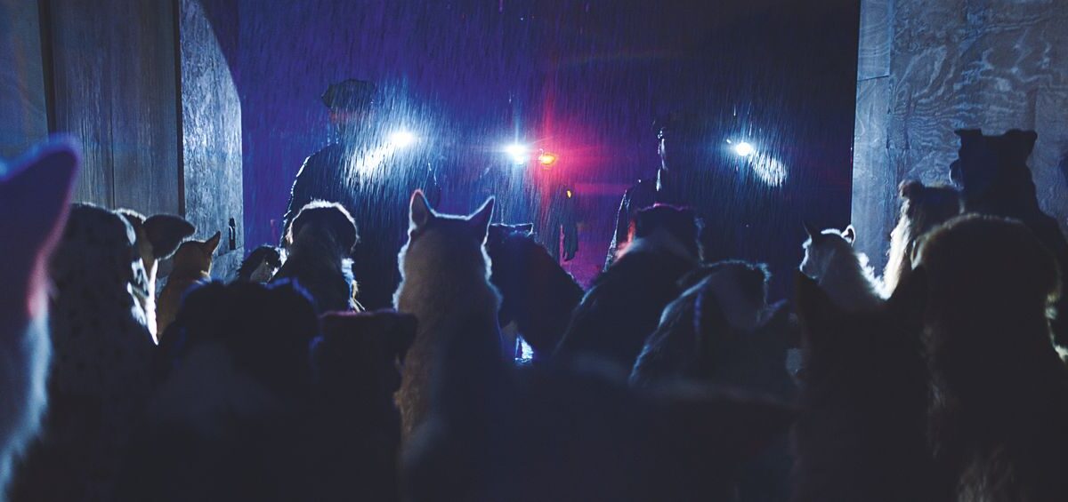 &lsquo;Dogman&rsquo; (2023) – Le prochain film d&rsquo;action dramatique de Luc Besson – Bande-annonce du film