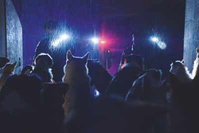 Dogman (2023): Il prossimo film d’azione di Luc Besson – Trailer cinematografico