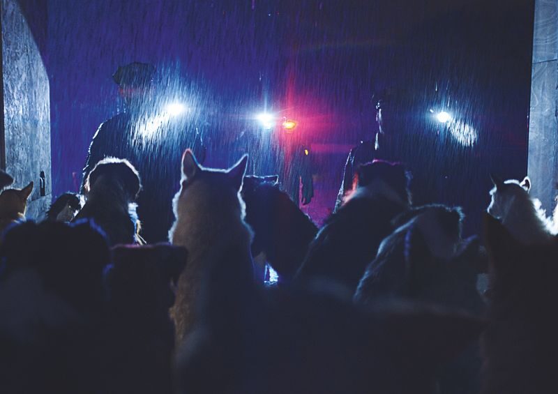 Dogman (2023): Il prossimo film d’azione di Luc Besson – Trailer cinematografico