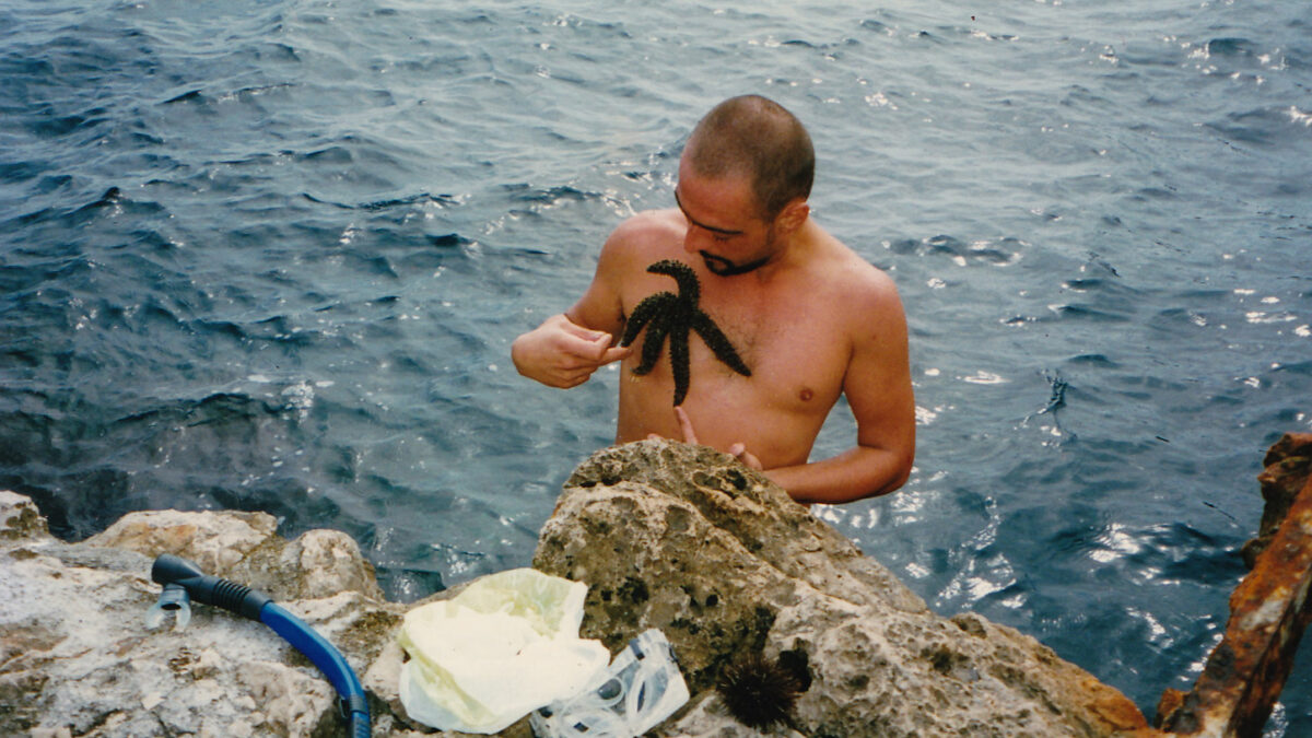 Haus am Waldsee präsentiert Kunstausstellung: Bruno Pélassy and the Order of the Starfish