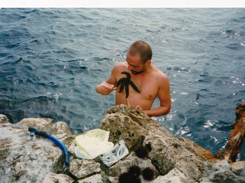 Haus am Waldsee präsentiert Kunstausstellung: Bruno Pélassy and the Order of the Starfish
