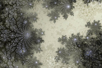 トーマス・ルフ、ハイム・スタインバック、杉本博司、橋本晶子