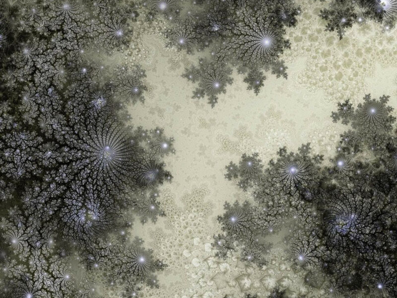 トーマス・ルフ、ハイム・スタインバック、杉本博司、橋本晶子