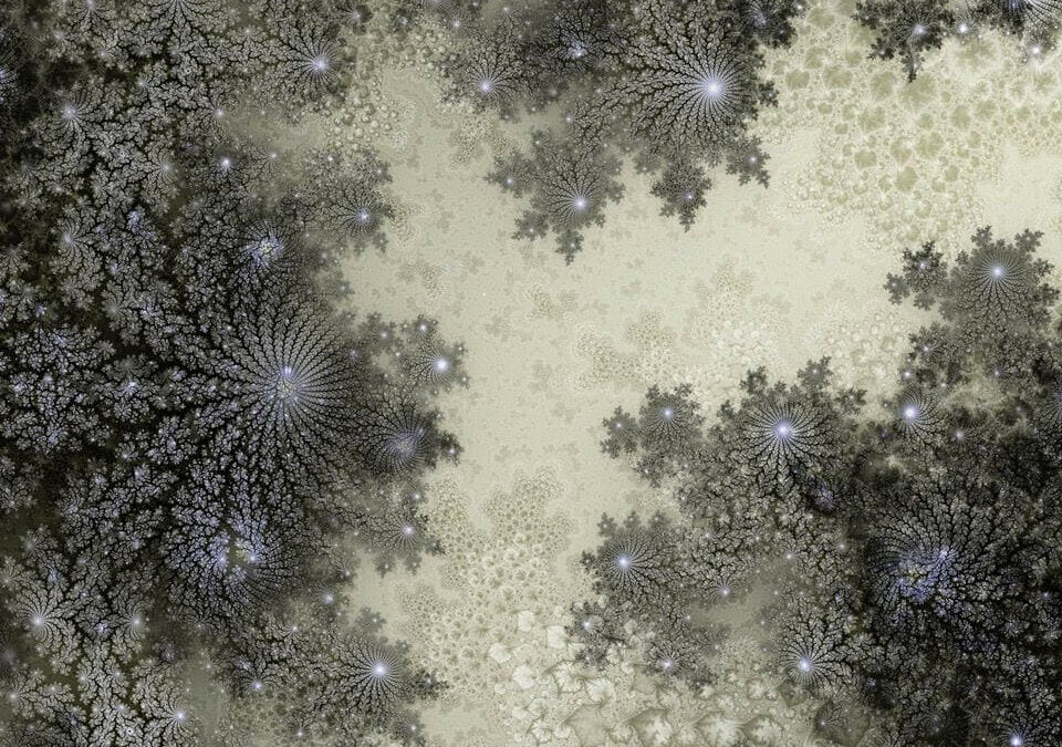 トーマス・ルフ、ハイム・スタインバック、杉本博司、橋本晶子