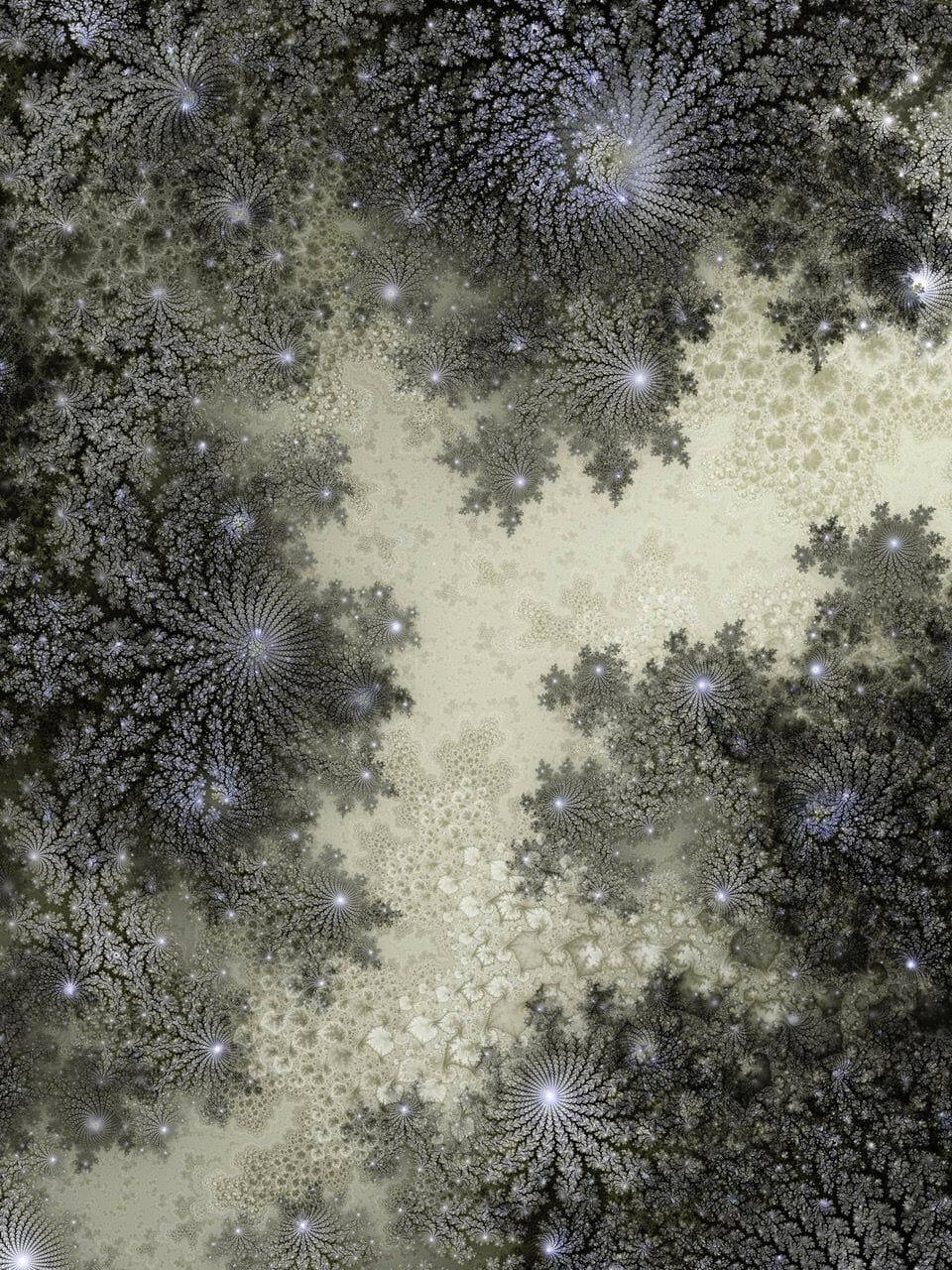 トーマス・ルフ、ハイム・スタインバック、杉本博司、橋本晶子