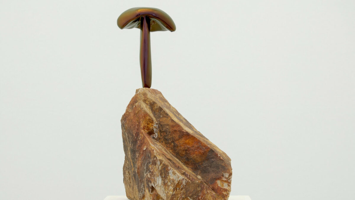 Moral Turgeman: Rooted Signals – Praz-Delavallade Projects Los Angeles