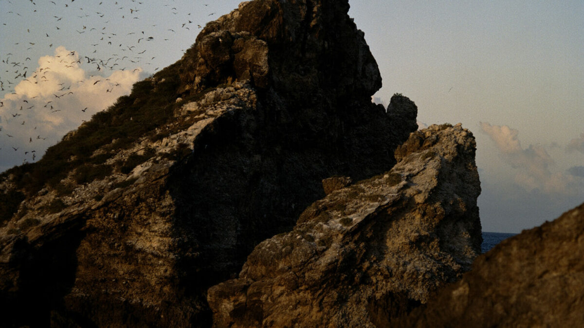 Immersion: Gregory Halpern, Raymond Meeks, Vasantha Yogananthan Fall 2023 – The International Center of Photography (ICP)