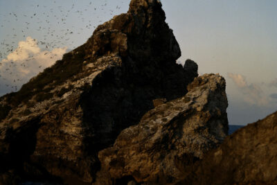 Immersion: Gregory Halpern, Raymond Meeks, Vasantha Yogananthan Fall 2023 – The International Center of Photography (ICP)