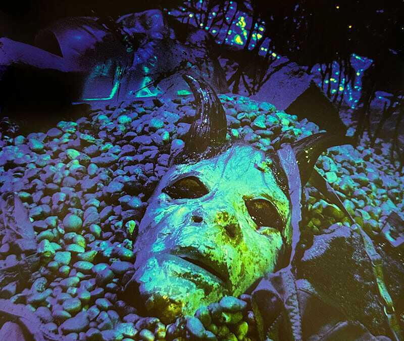 Vernissage exposition ICÔNES chez ANNE+