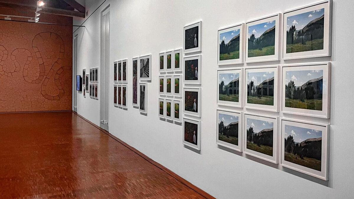 Andy Goldsworthy at Musée Gassendi, Digne-les-Bains, France