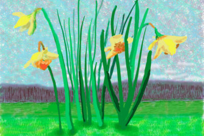 David Hockney im Museum für zeitgenössische Kunst in Tokio