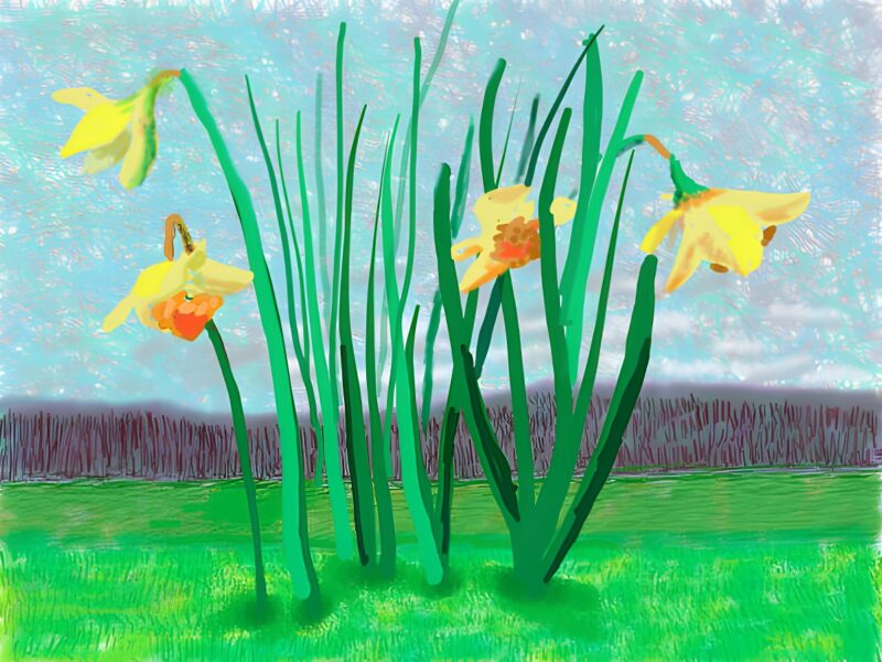 David Hockney en el Museo de Arte Contemporáneo de Tokio