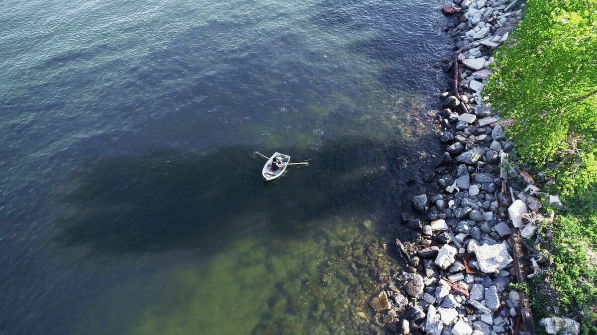 KW Institute for Contemporary Art in Berlin präsentieren Herbstprogramm 2023 | Coco Fusco | Kameelah Janan Rasheed | SKIN IN THE GAME