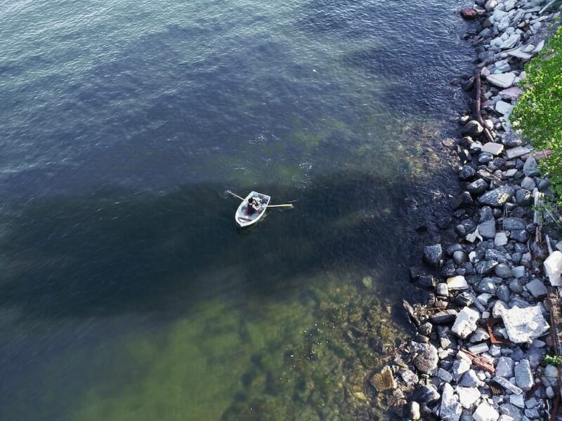 KW Institute for Contemporary Art in Berlin präsentieren Herbstprogramm 2023 | Coco Fusco | Kameelah Janan Rasheed | SKIN IN THE GAME