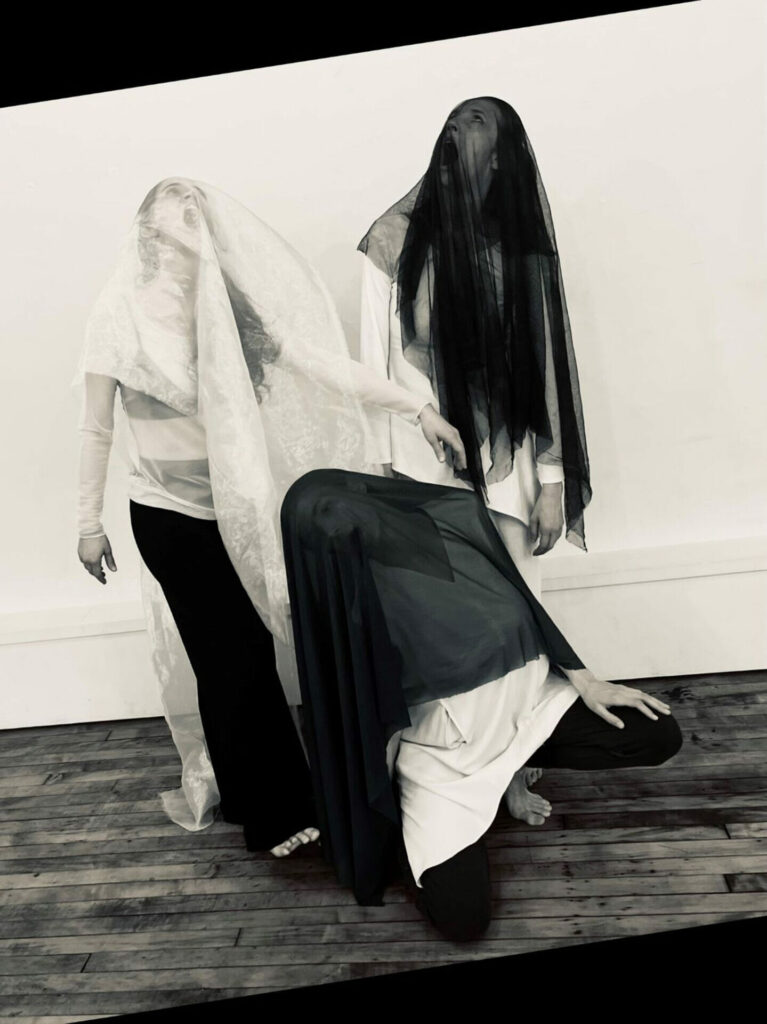 Stone Circle Theatre presents Wendy Osserman Dance Company & Concetta Ensemble’s “Laminaria”