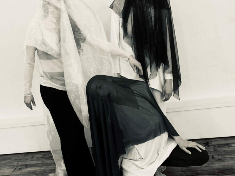 Stone Circle Theatre presents Wendy Osserman Dance Company & Concetta Ensemble’s “Laminaria”