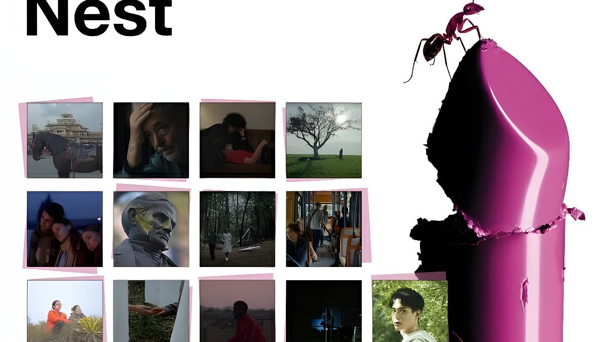 Thirteen short films will compete for the Nest The Mediapro Studio Award | San Sebastian Film Festival | Check It Out