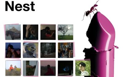 Trece cortometrajes competirán por el Premio Nest The Mediapro Studio en el Festival de San Sebastián