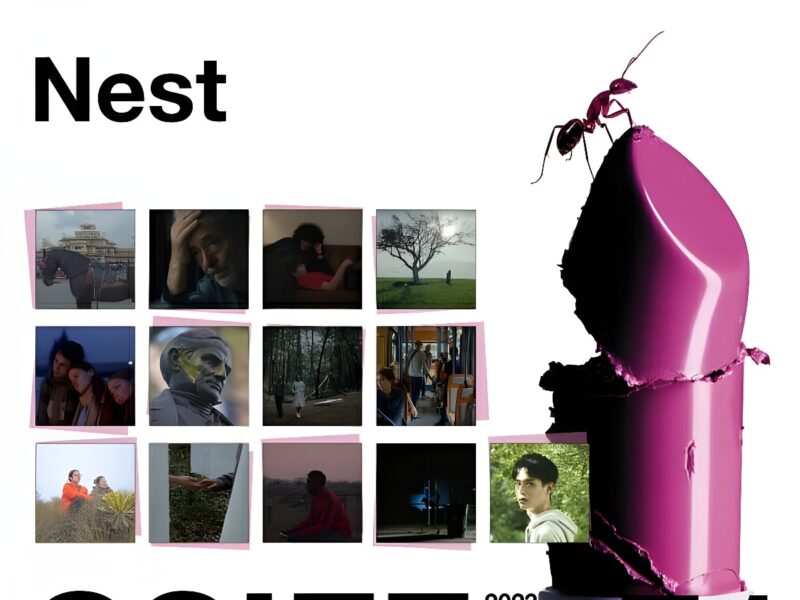 Thirteen short films will compete for the Nest The Mediapro Studio Award | San Sebastian Film Festival | Check It Out