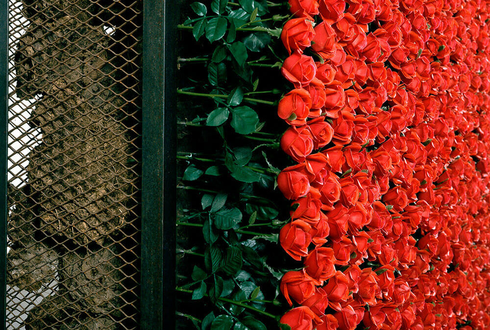 Chen Zhen: ‘Double Exil’. Galleria Continua, Paris