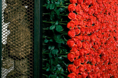 Chen Zhen: &lsquo;Double Exil&rsquo;. Galleria Continua, Paris