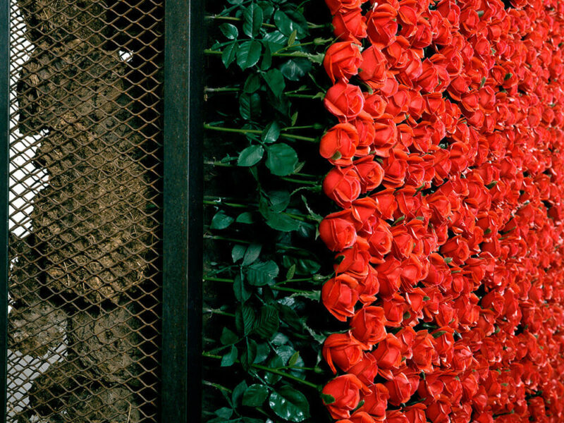 Chen Zhen: &lsquo;Double Exil&rsquo;. Galleria Continua, Paris