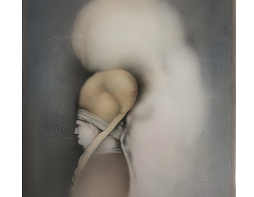 « PROPS » – Galerie Sultana, Paris