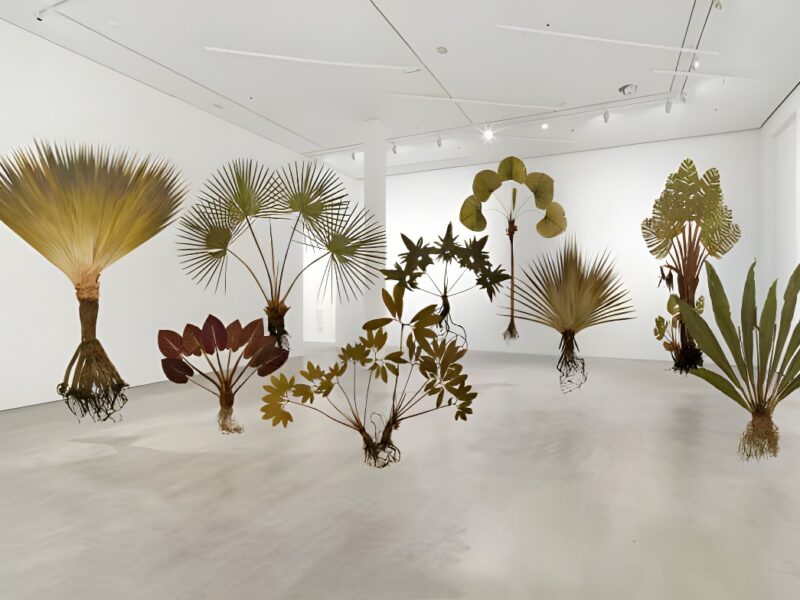 Berlinische Galerie präsentiert Julius von Bismarck ‚When Platitudes Become Form‘ 26.5. – 14.8.23