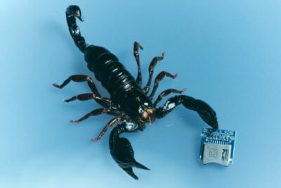 Miguel unveils new single “Number 9 (feat. Lil Yachty)” – Give this mesmerizing track a listen!