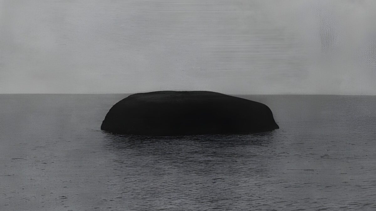 Jungjin Lee | Howard Greenberg Gallery, New York