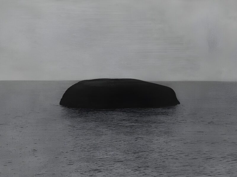 Jungjin Lee | Howard Greenberg Gallery, New York
