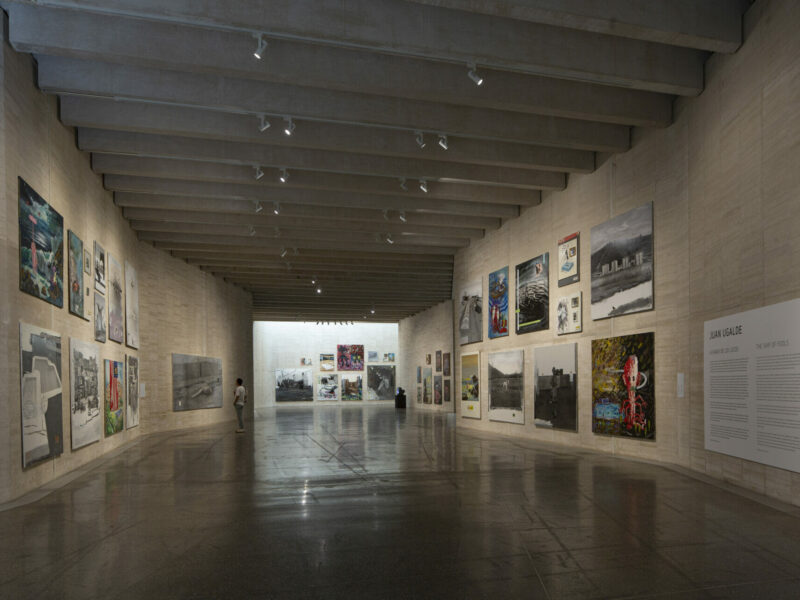 Juan Ugalde: La nave de los locos | Museo de Arte Contemporáneo de Castilla y León