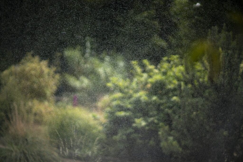 TERRI WEIFENBACH: Air and Dreams | Galerie Miranda | Paris