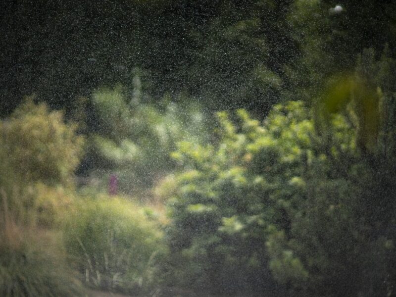 TERRI WEIFENBACH: Air and Dreams | Galerie Miranda | Paris