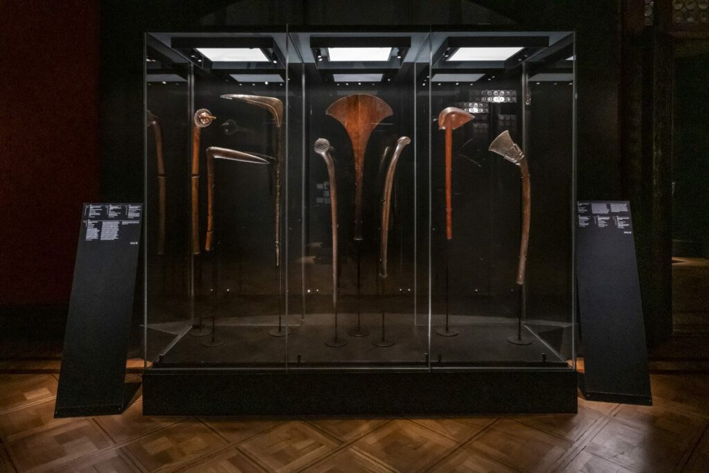 Incontri_23 | Nove conferenze per celebrare i cento anni del Museo di Storia Naturale di Venezia e i cinquant’anni di Cultura Ligabue | settembre – ottobre 2023