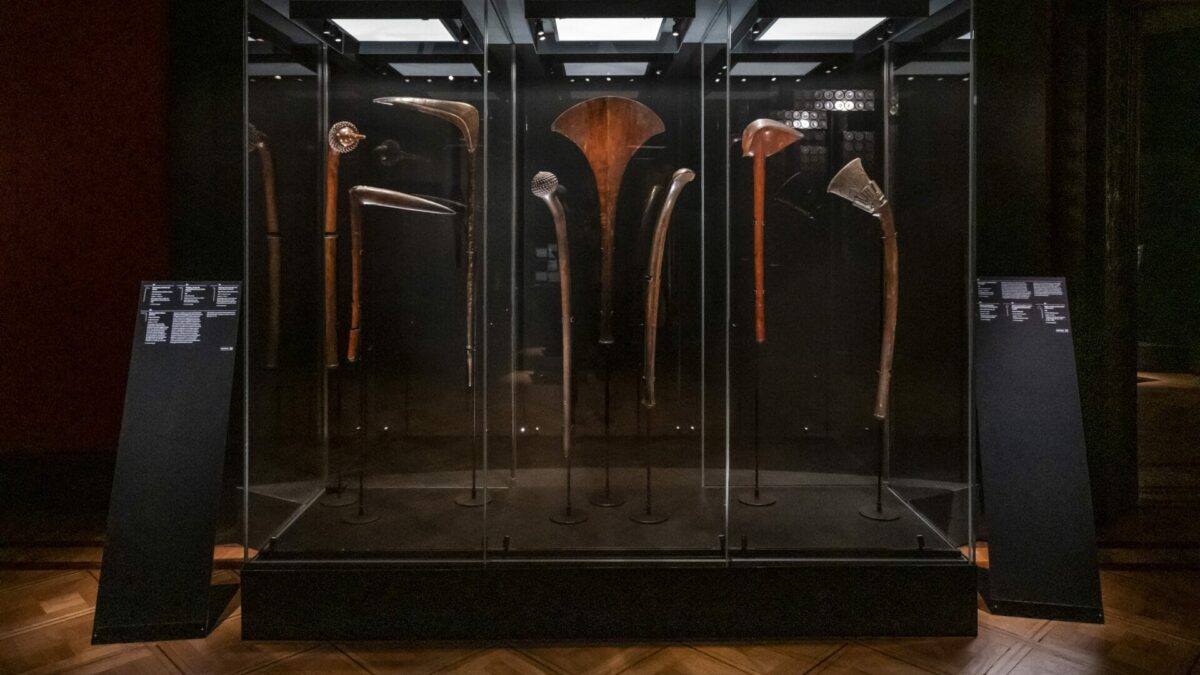 Incontri_23 | Nove conferenze per celebrare i cento anni del Museo di Storia Naturale di Venezia e i cinquant’anni di Cultura Ligabue | settembre – ottobre 2023