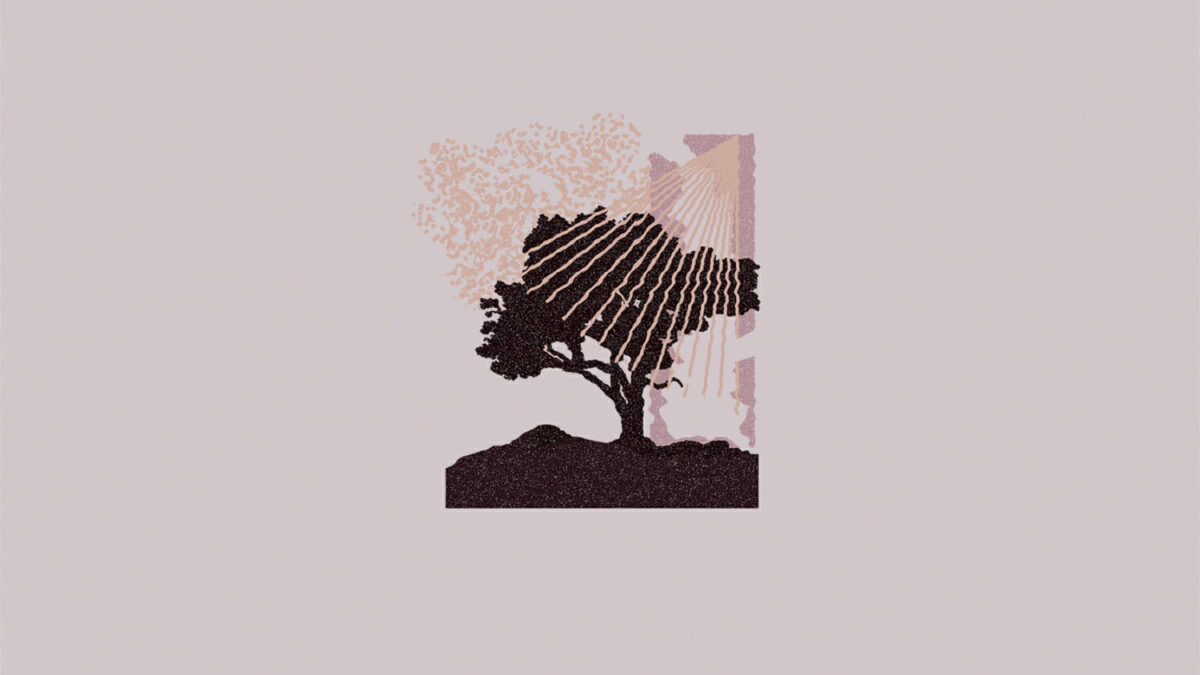‘Pwintiques’ | Land of Talk’s New Single and Video from The Upcoming Album ‘Performances’ | An Instrumental Voyage to Be Enjoyed!