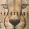 Predators