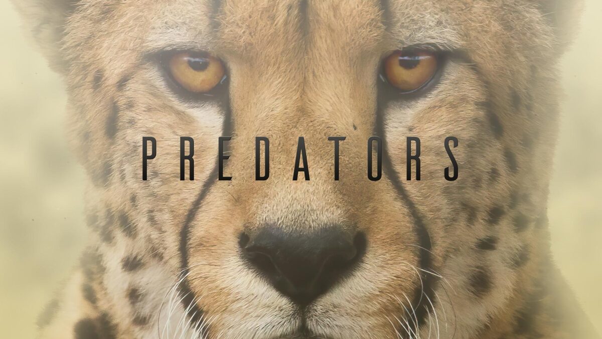 “Predadores” (2023) – Serie documental en Netflix: el sabor de la sangre y la épica de la supervivencia