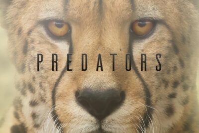„Predators“ (2023) – Dokumentarserie auf Netflix: Der Geschmack von Blut und die Epik des Überlebens